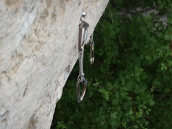 The BD Quickwire in action