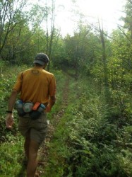 Ultimate Direction Access 2X Hydration Waist Pack