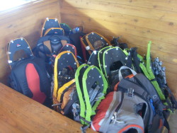 Snowshoes