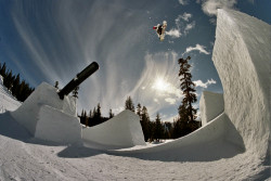 Aaron Bitter Snowboard