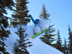 Shreddin the pow yo.