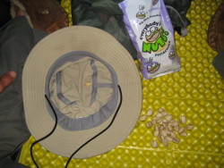 bucket hat? orrrrr pistachio shell holder