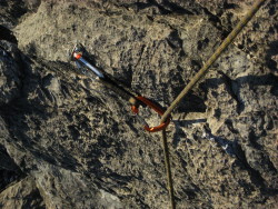 BD Freewire Quickdraw