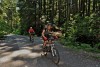Fromme on the up....