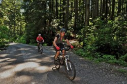 Fromme on the up....