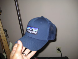 blue trucker