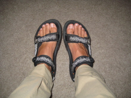 my 10 yr old terra fi's