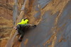 testarossas in moab