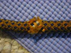 Frayed Sheath