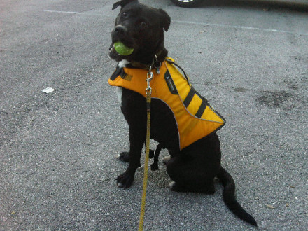 Duke approves!