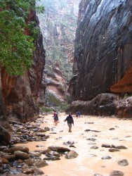 Zion Narrows