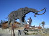 Mammoth & The Mullet