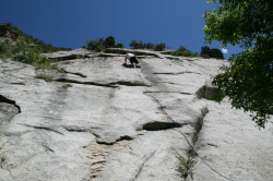 Lisa Falls