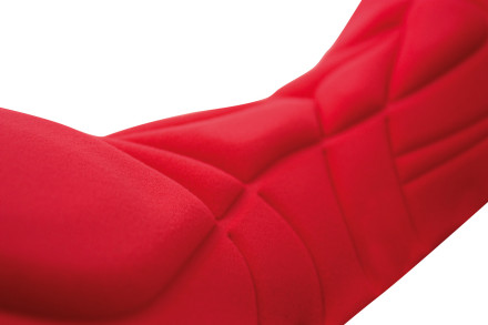 Ozon chamois
