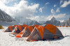 Trangos at Camp 1 