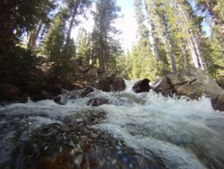 Some water