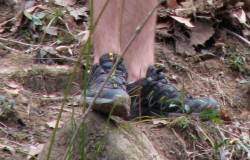 On and Off the Trail