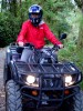 In the rain forest