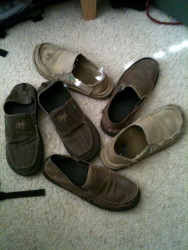 Hey Man Look- They be Sanuks