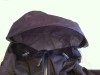 hood detail