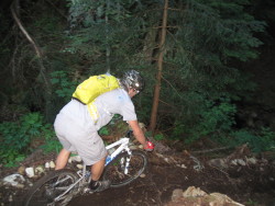 Cypress XC loam