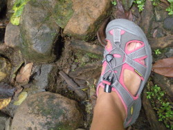 Hiking with my favorite sandals!