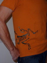 Arc'teryx New Burn T