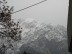 Snowbird108