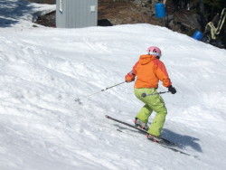 North  Face Freedom Pants