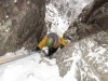 The Quark in action on Golden Tears