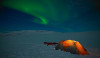 a quest for northern lights