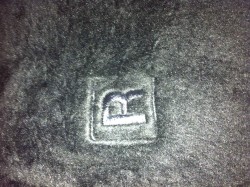 R logo