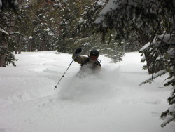 Zzues, earning it's turns in May!