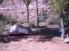 Fury in Moab