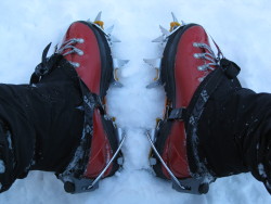 Sabertooths on Plastic Boots