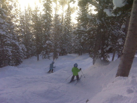 Great skis