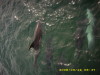 When the underwater sea world comes up to say hello