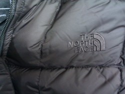 Brown Logo