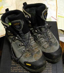 Asolo Fugitive