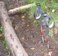 Black Diamond Trail Poles in Mud