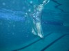 Underwater action!