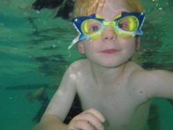Look out for the sharks underwater!