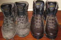 Old pair new pair