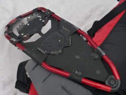 Underside of Snowshoe