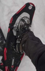 Wearing Trail Runners