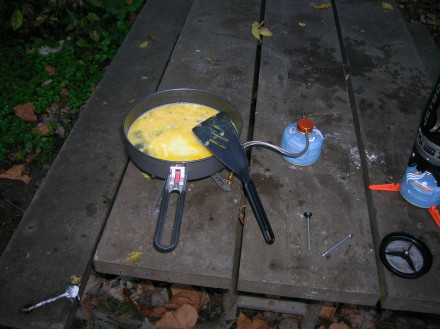 MSR Skillet