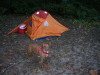 Marmot Twilight