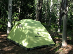 Hilight Tent in Pike National Forest, CO