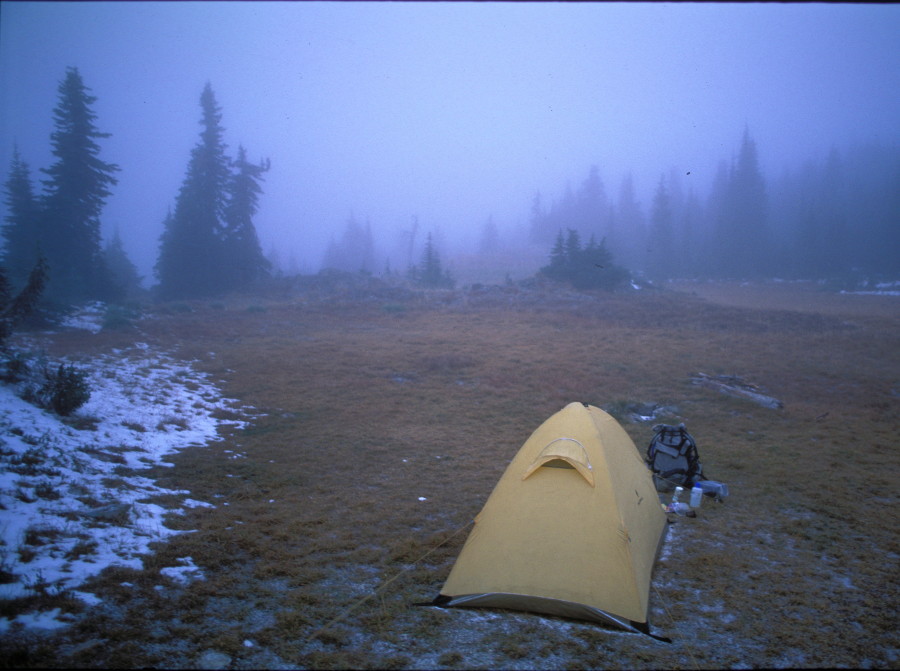 bd firstlight tent review