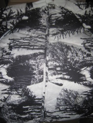 White Evercamo